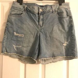 Lane Bryant Denim Shorts